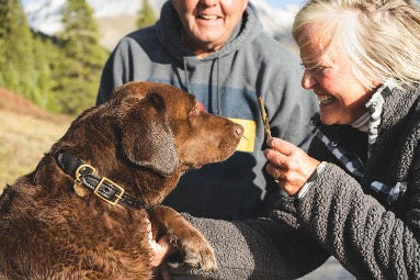 Assisted Living Tips for Seniors and Their Pets