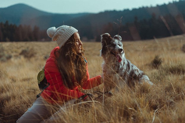 How To Thrive as a Digital Nomad with Your Pet by Your Side