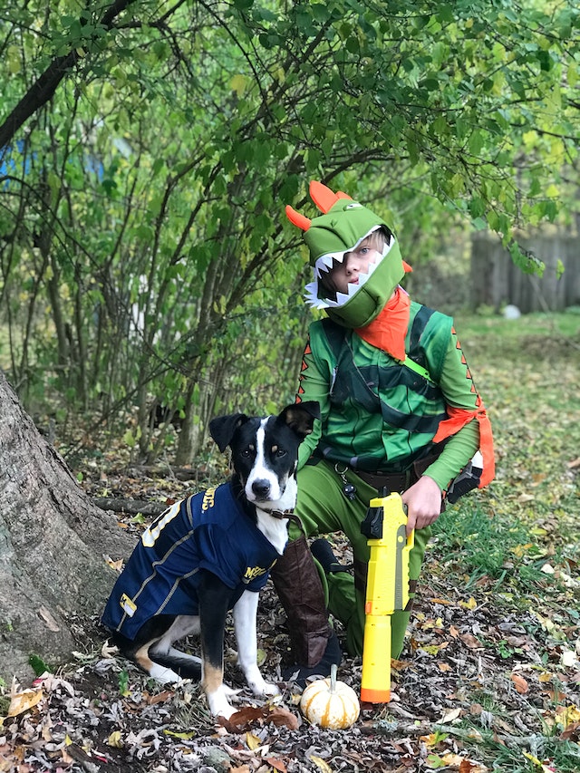 10 Dog and Owner Halloween Costumes