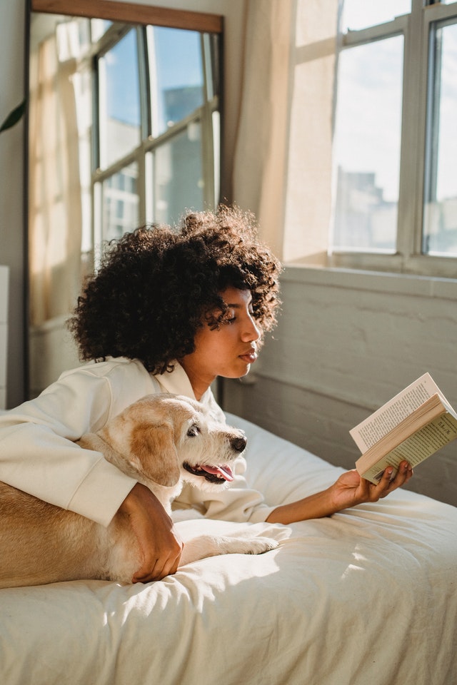 5 of the Best Dog Books For Readers of all Ages