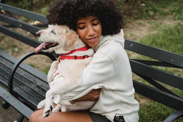 Fun Ways to Exercise With Your Dog